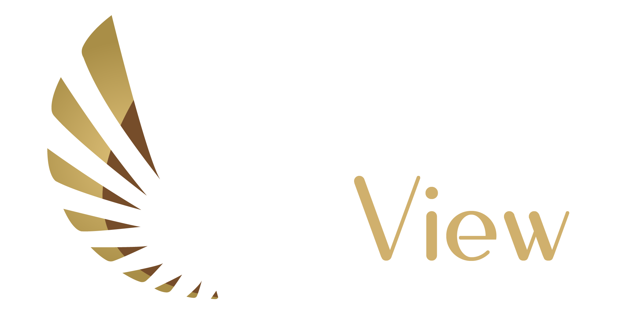 Birdview Media